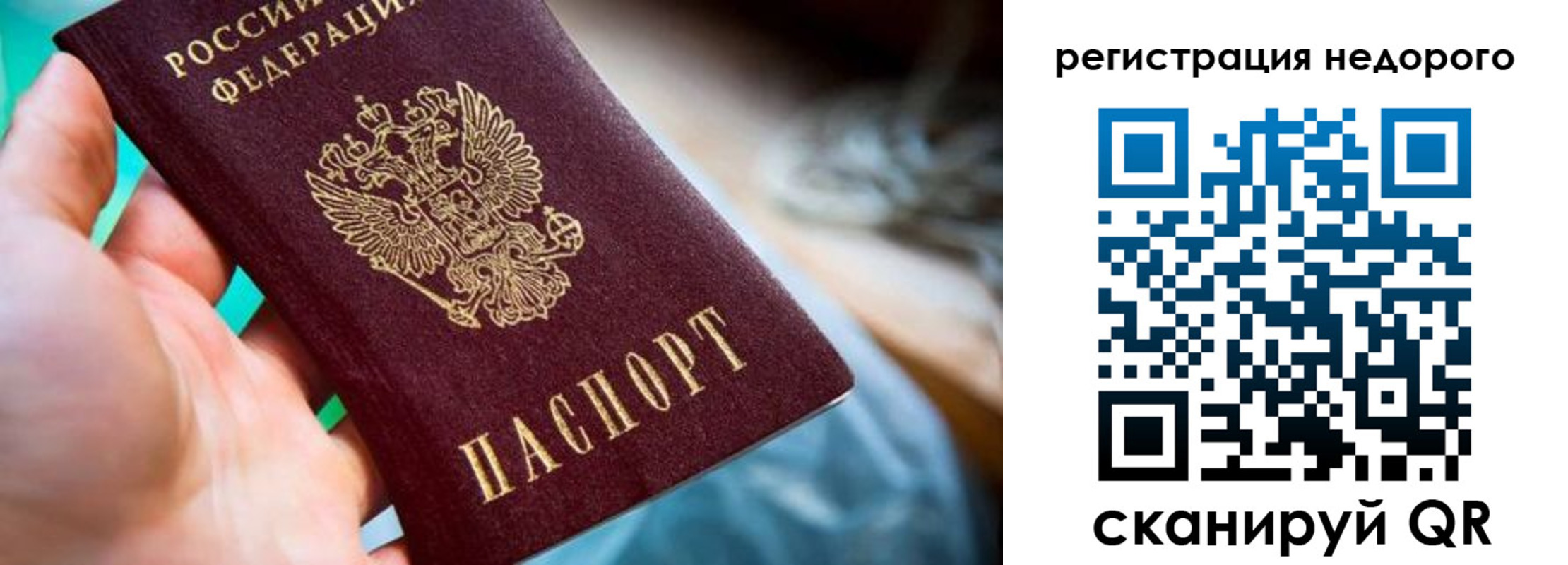 найти адрес прописки в Выборге